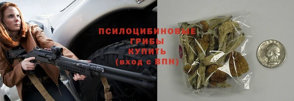 амф Арсеньев