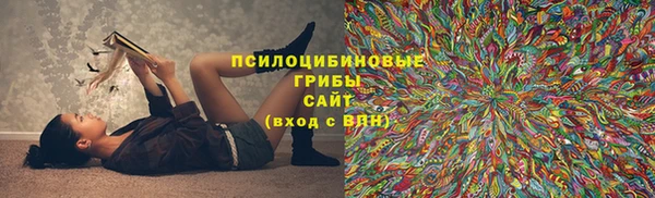 гашик Баксан