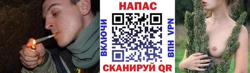 Марихуана сатива Кремёнки